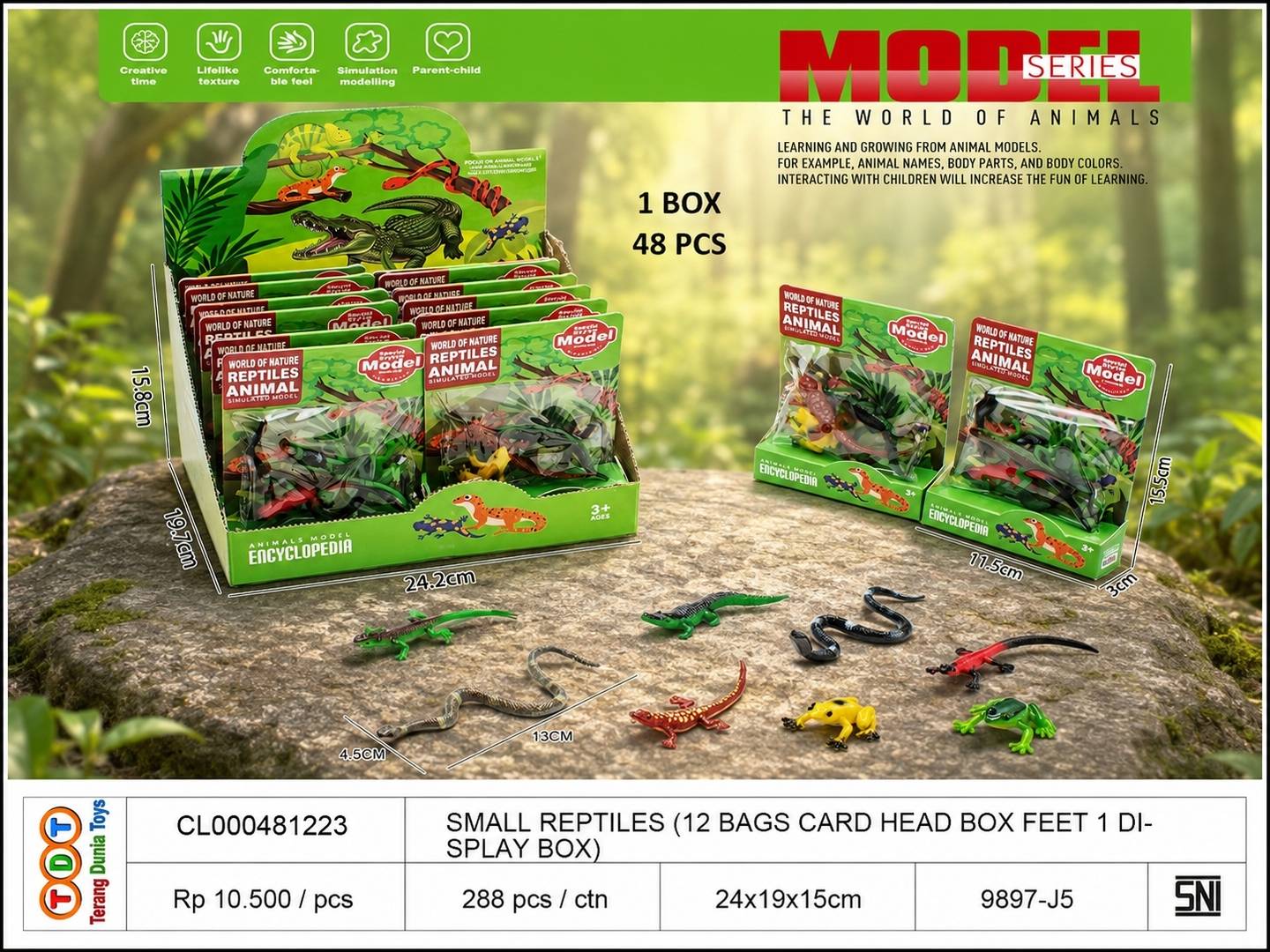 SMALL REPTILES (12 B