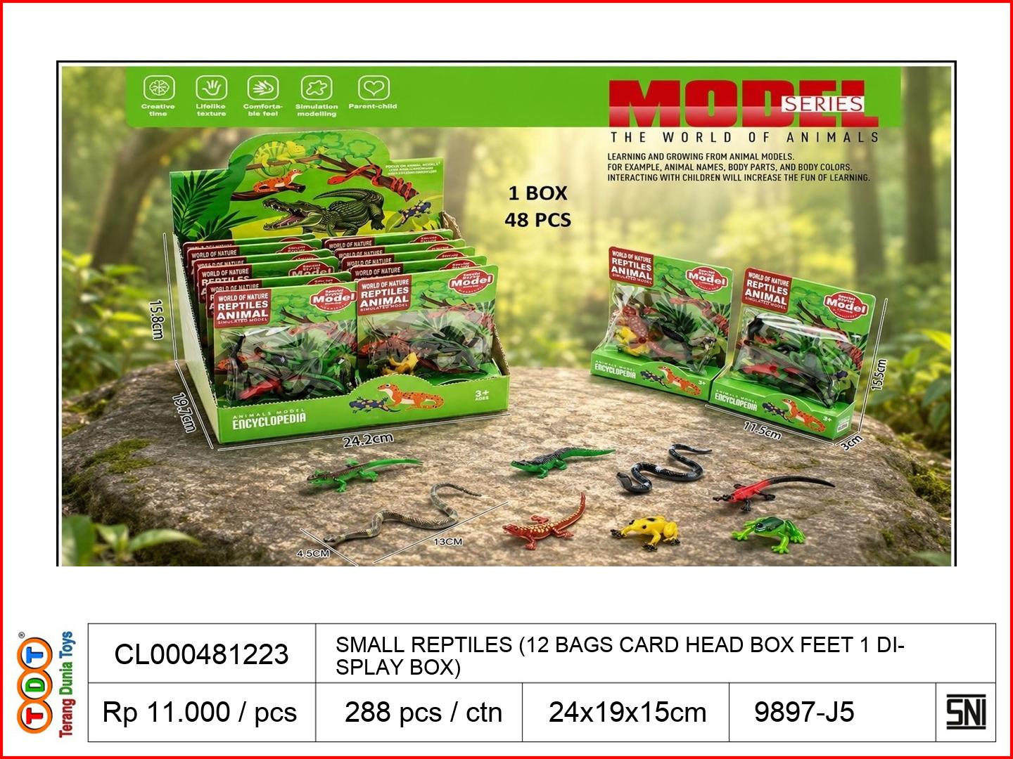 SMALL REPTILES (12 B