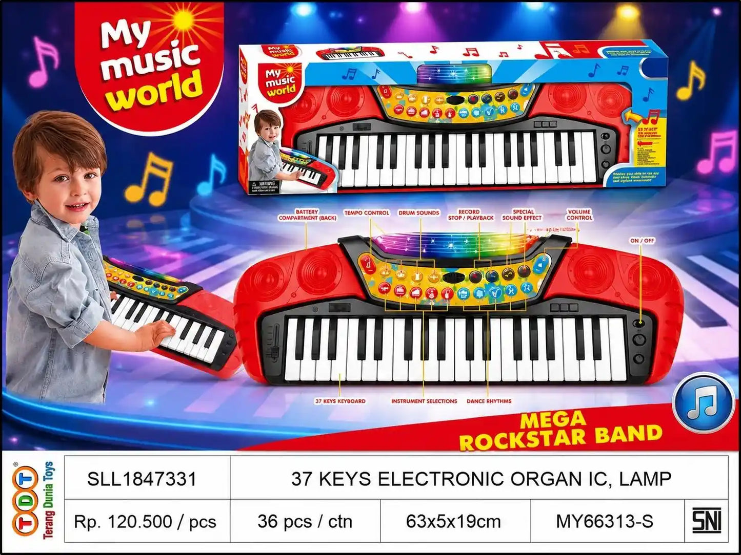 37 KEYS ELECTRONIC ORGAN IC, LAMP
