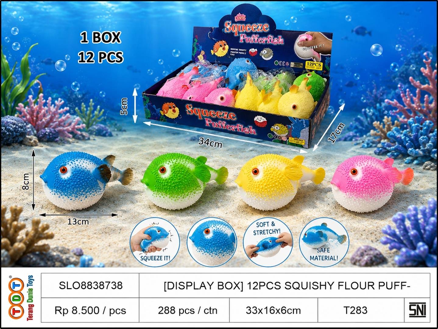 [DISPLAY BOX]12PCS S