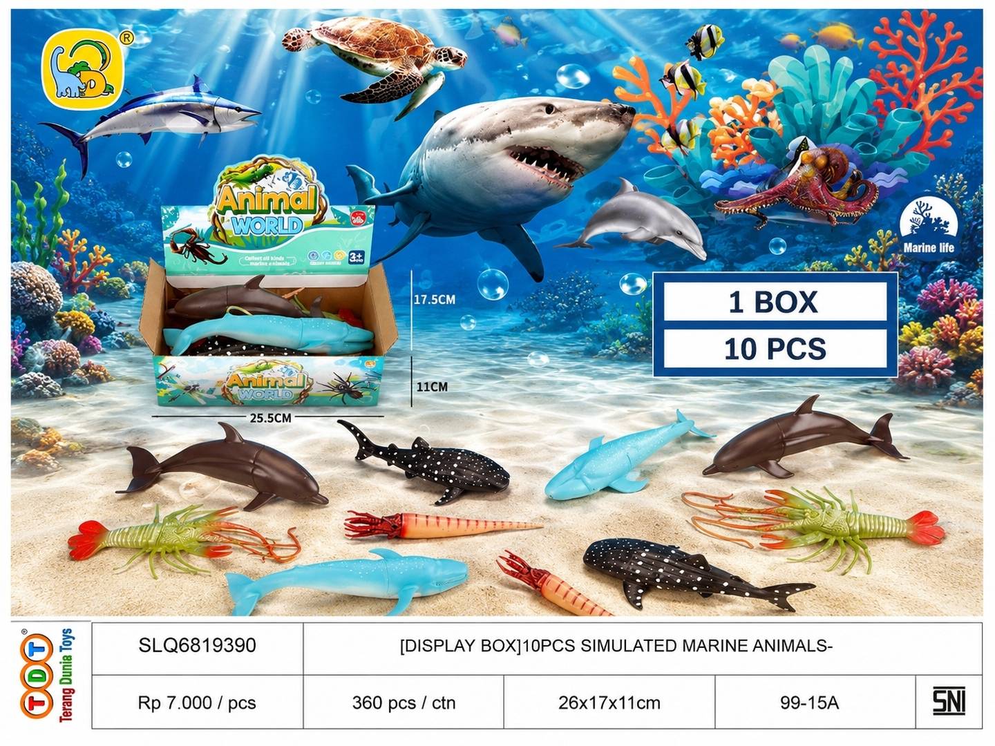 [DISPLAY BOX]10PCS S