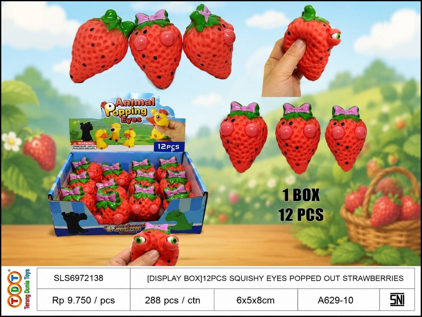[DISPLAY BOX]12PCS S