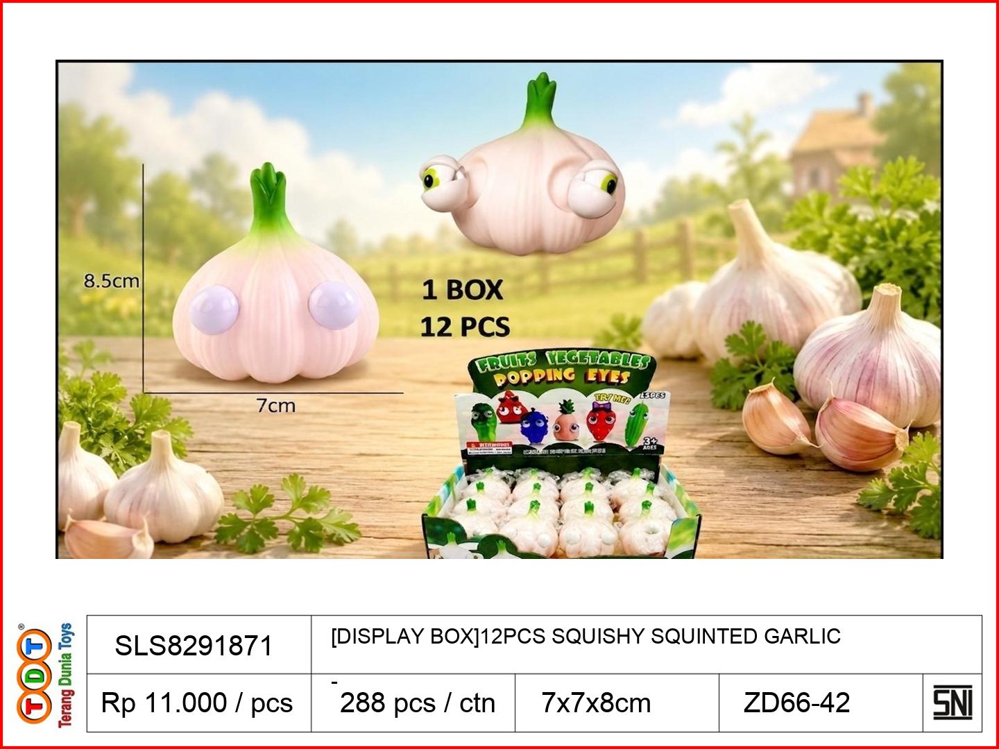 [DISPLAY BOX]12PCS S