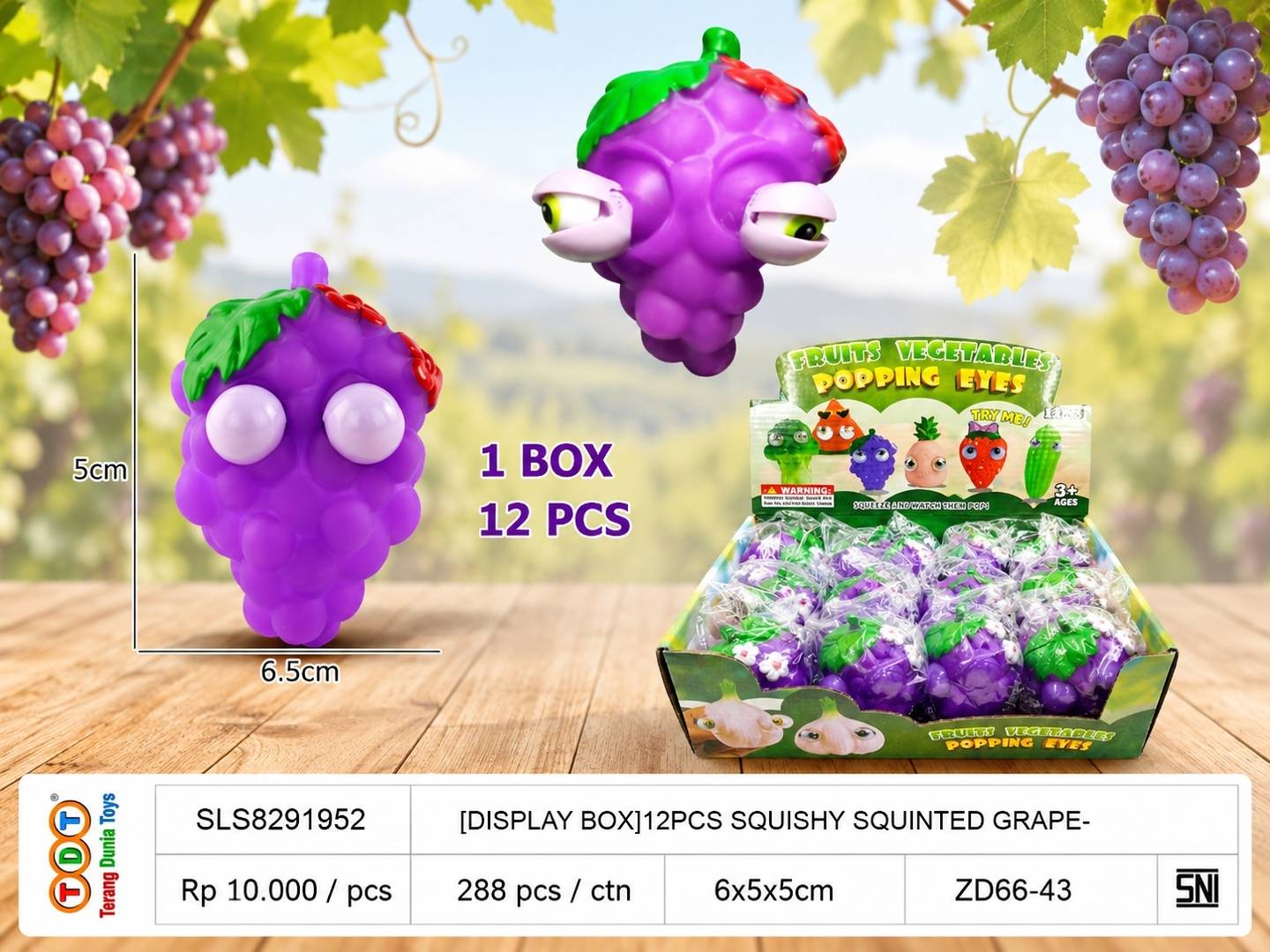 [DISPLAY BOX]12PCS S