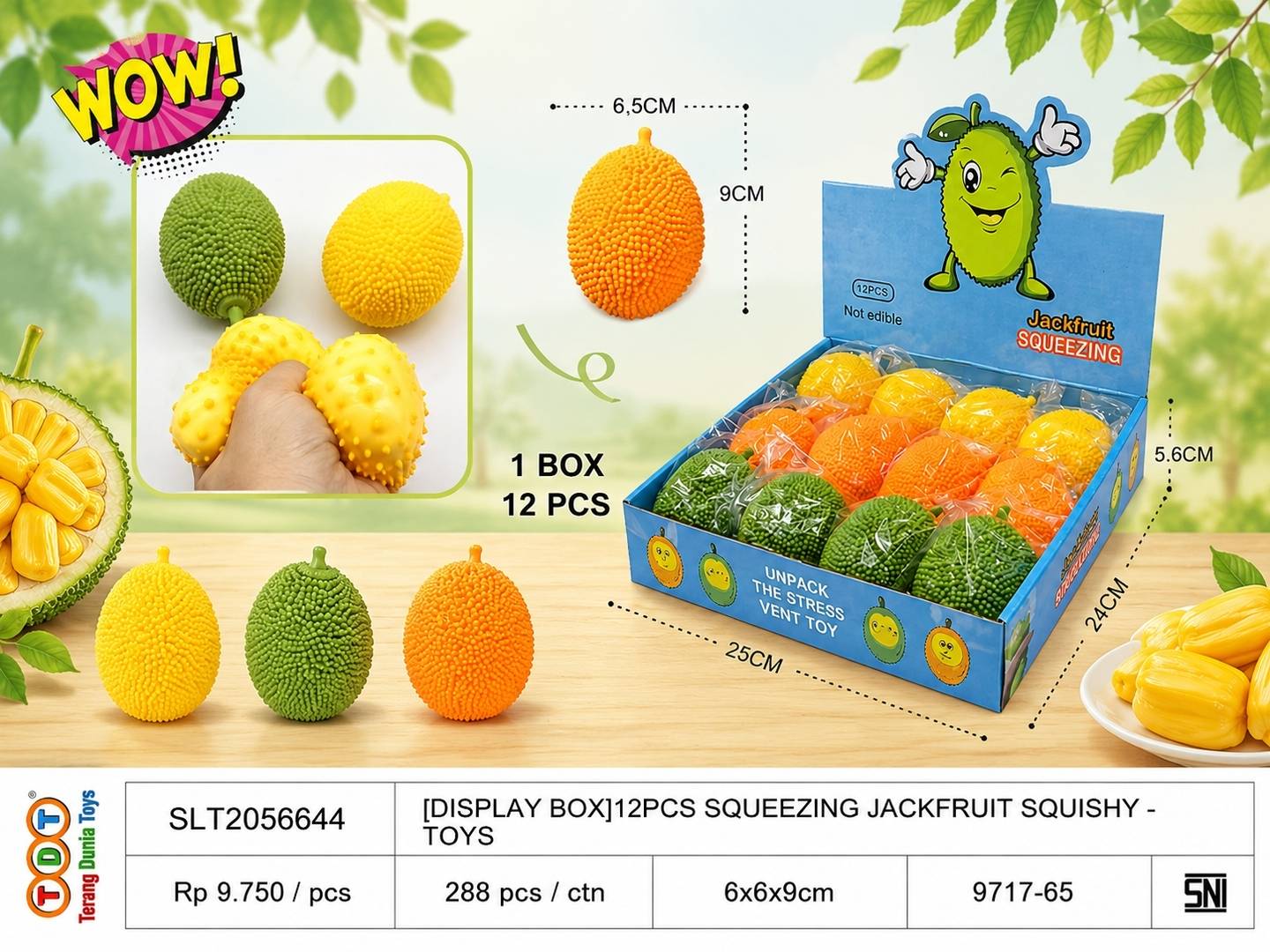 [DISPLAY BOX]12PCS S
